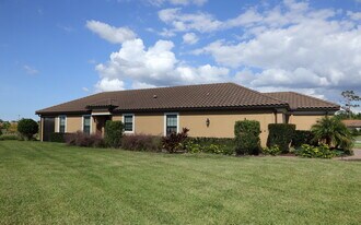 11697 Callisia Dr in Odessa, FL - Building Photo