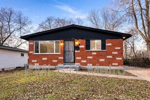 10189 Count Dr in St. Louis, MO - Building Photo