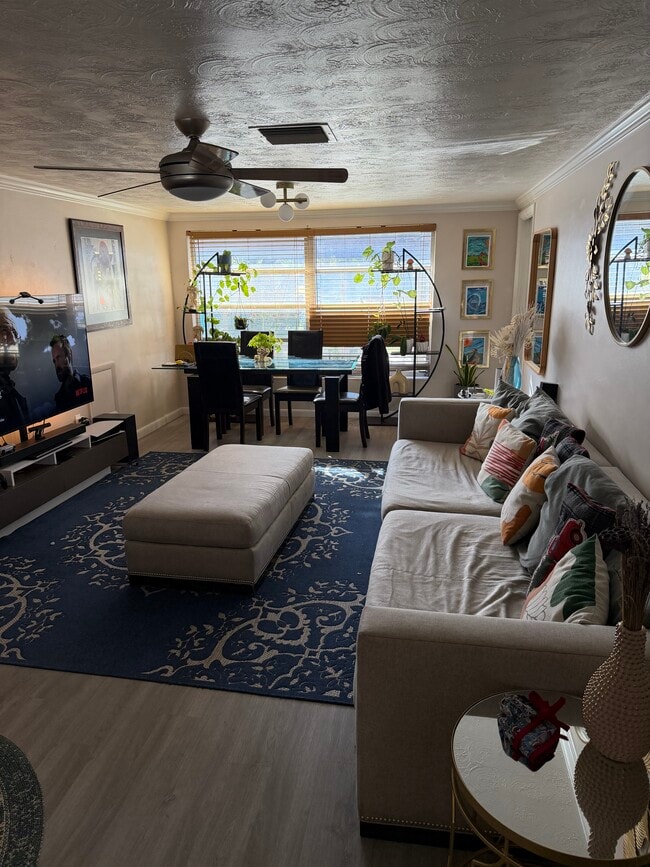 2603 Almond Dr in Holiday, FL - Foto de edificio - Building Photo