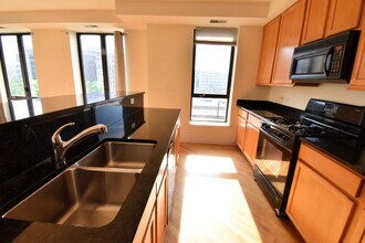 343 W Old Town Ct in Chicago, IL - Building Photo - Building Photo