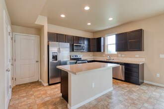 3969 River Birch St in Wellington, CO - Building Photo - Building Photo