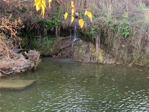 331 Fantail Loop in Austin, TX - Building Photo - Building Photo