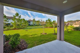 4925 San Martino Dr in Wesley Chapel, FL - Foto de edificio - Building Photo