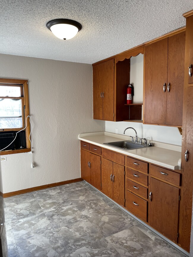 551 7th St W, Unit 1 in Hastings, MN - Building Photo - Building Photo