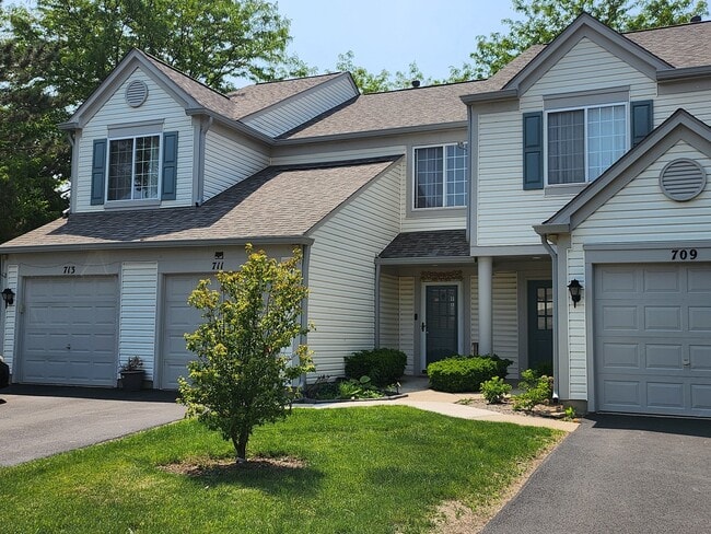 711 Blossom Ct in Naperville, IL - Building Photo - Building Photo