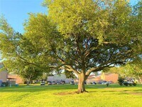 12873 High Star Dr photo'