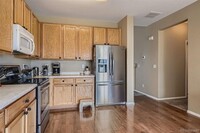 15911 Longford Dr in Parker, CO - Foto de edificio - Building Photo