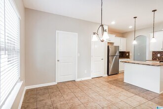353 Chesser Loop Cir in Chelsea, AL - Building Photo - Building Photo