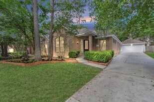 19 Long Springs Pl in Spring, TX - Building Photo