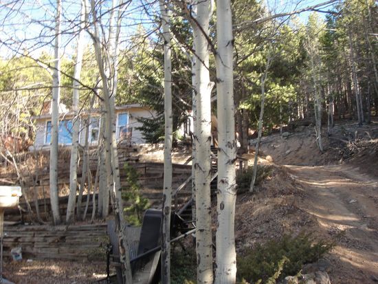 8680 London Ln in Conifer, CO - Building Photo - Building Photo