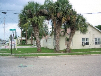 The Palms in Bradenton, FL - Foto de edificio - Building Photo