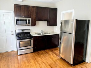 978 W 19th St in Chicago, IL - Building Photo - Building Photo