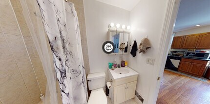 221 Freeman St, Unit 1 in Brookline, MA - Building Photo - Building Photo