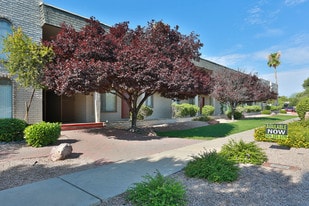 Waters Edge in Tucson, AZ - Building Photo