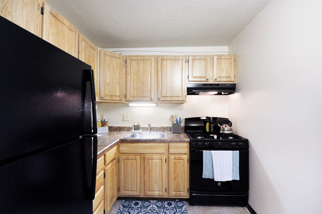 Edgewood Commons 611 in Washington, DC - Building Photo - Building Photo