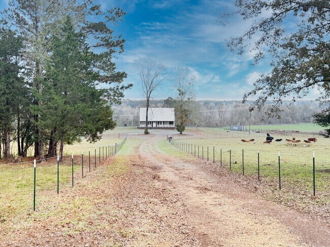 201 Dicks Store Rd in Simsboro, LA - Building Photo - Building Photo