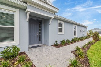 29544 Velletri Ln in Wesley Chapel, FL - Building Photo - Building Photo