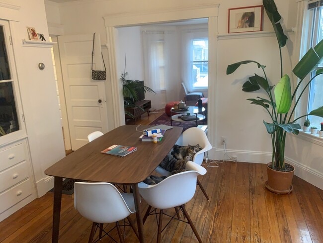 17 Orrin St, Unit 2 in Cambridge, MA - Building Photo - Building Photo