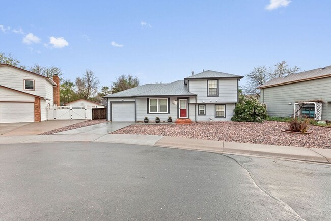 1040 Rochester Ct in Windsor, CO - Building Photo - Building Photo