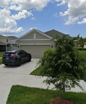 3347 Suncoast Plains Dr in Odessa, FL - Building Photo