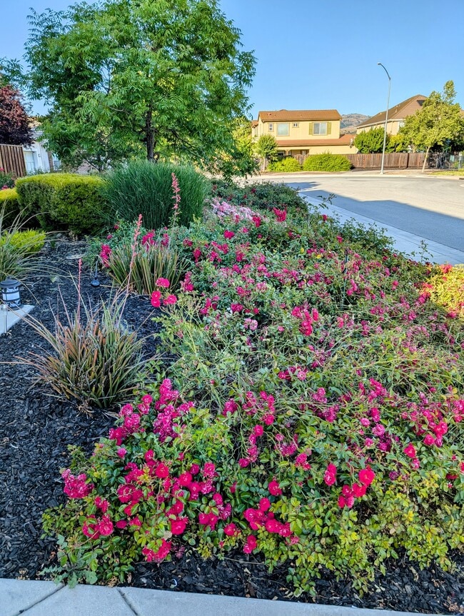 16650 San Gabriel Ct in Morgan Hill, CA - Building Photo - Building Photo