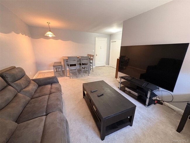 25 Elizabeth St in Farmingdale, NY - Building Photo - Building Photo