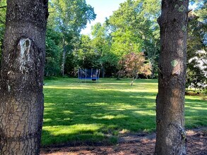 15 Winchester Dr in Lexington, MA - Building Photo - Building Photo