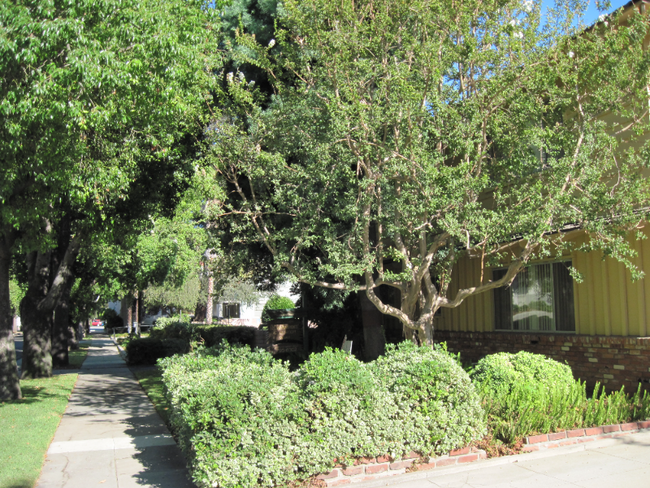 808 Santa Barbara St in Pasadena, CA - Foto de edificio - Building Photo