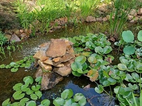 1348 Brandon Square in Lawrenceville, GA - Building Photo - Building Photo