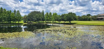 19138 Cypress Green Dr in Lutz, FL - Building Photo