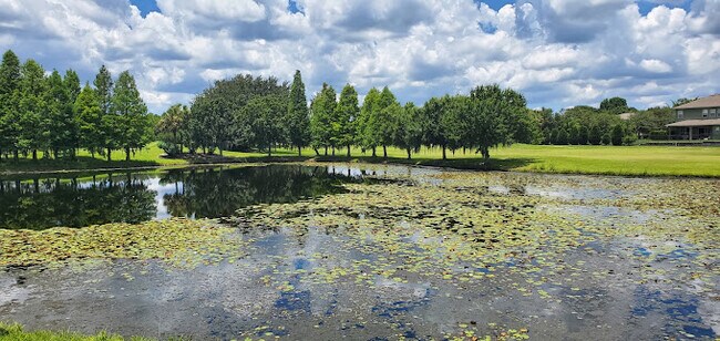 property at 19138 Cypress Green Dr