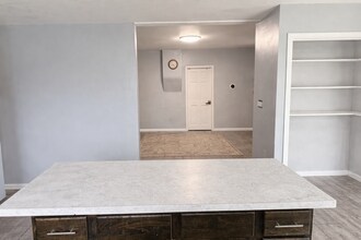 217 Seward Ave NW in Grand Rapids, MI - Building Photo - Building Photo