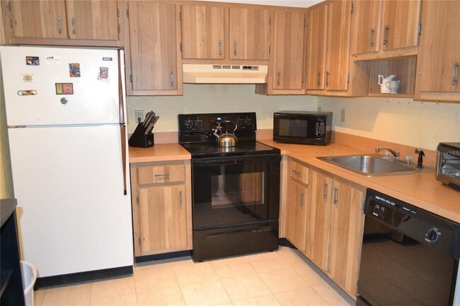 2375 Fox Chase Blvd in Palm Harbor, FL - Building Photo - Building Photo