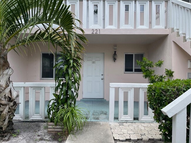 property at 221 SE 1st Ave