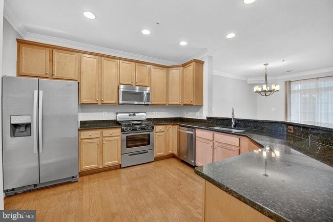 44063 Vaira Terrace in Chantilly, VA - Building Photo - Building Photo