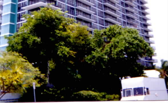 Palm Bay Yacht Club Condo in Miami, FL - Foto de edificio