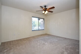 2300 SW 43rd St in Gainesville, FL - Building Photo - Building Photo