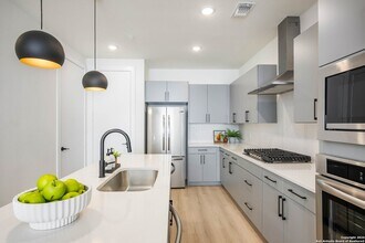 719 E Locust St in San Antonio, TX - Building Photo - Building Photo