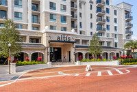 Altis Grand Central in Tampa, FL - Building Photo - Building Photo