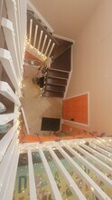 1049 Blackwater Dr in Wesley Chapel, FL - Building Photo - Building Photo