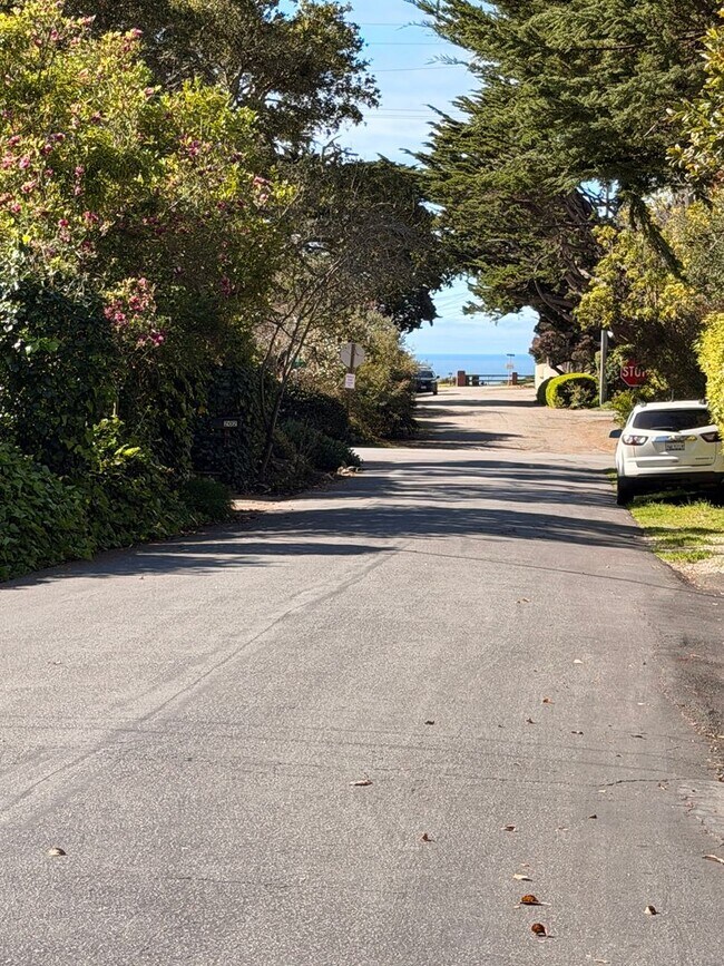 206 Florence Dr in Aptos, CA - Building Photo - Building Photo