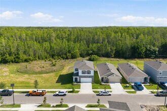17786 Acorn Drop Rd in Land O Lakes, FL - Building Photo - Building Photo