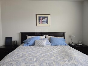 2296 Setting Sun Dr in Windsor, CO - Building Photo - Building Photo