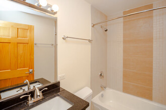 6217 S Kenwood Ave in Chicago, IL - Building Photo - Building Photo