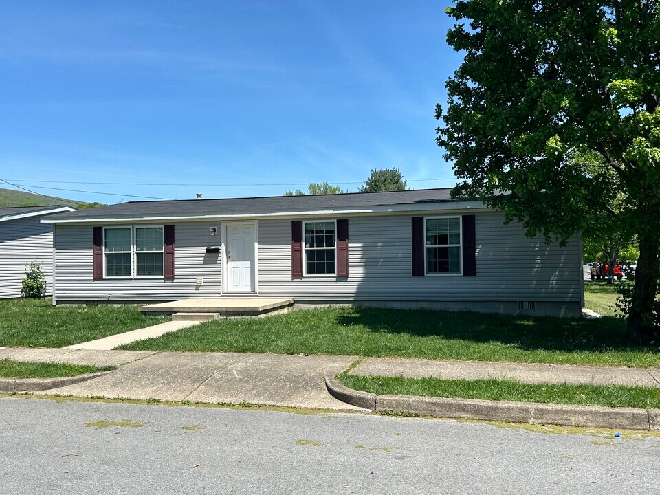 231 E Walnut St in Mount Union, PA - Building Photo