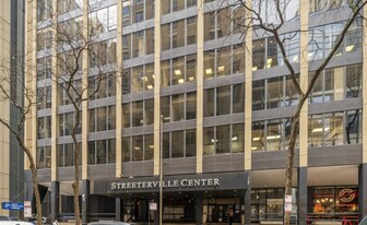 233 E Erie St, Unit #  01902 in Chicago, IL - Building Photo