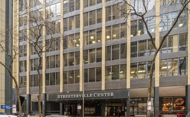 property at 233 E Erie St