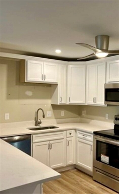 5 Chapel Hill Dr in Plymouth, MA - Building Photo - Building Photo