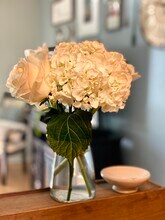 2529 Senator Ct, Unit H in St. Louis, MO - Building Photo - Building Photo