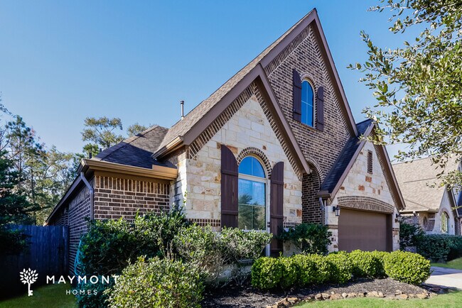 18862 Swansea Creek Dr in New Caney, TX - Building Photo - Building Photo